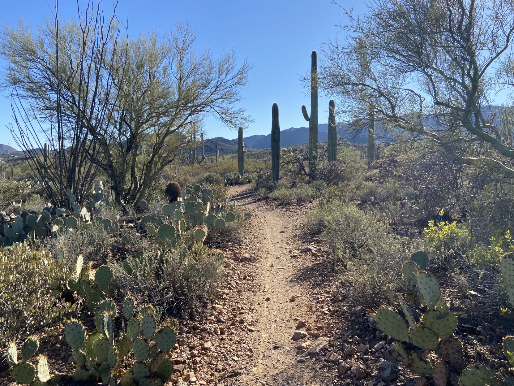 Sweetwater Preserve